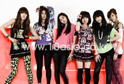 2010년 1월 29일