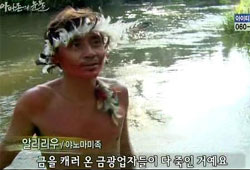<아마존의 눈물> vs <민들레 가족>
