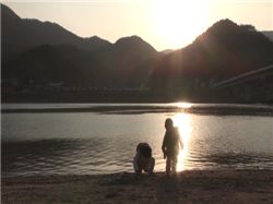 2010년 4월 1일