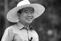 시 헤이는 밤