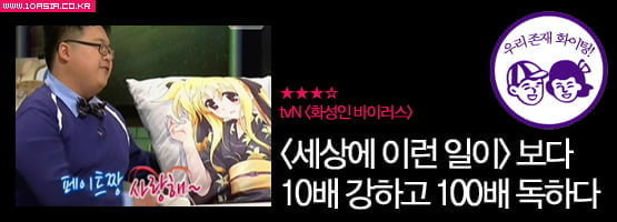 케이블 예능│< UV 신드롬 >에서부터 <택시>까지