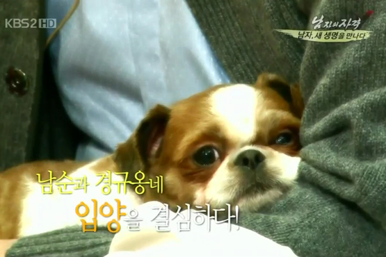 애완동물을 키우는 이유, 이젠 알 것 같아요