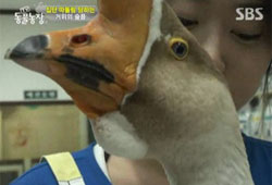 <동물농장>, 논픽션의 힘