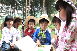2011년 7월 6일