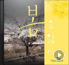 호랑 작가│마음이 편해지는 노래들