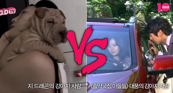 지드래곤, 솔약국집