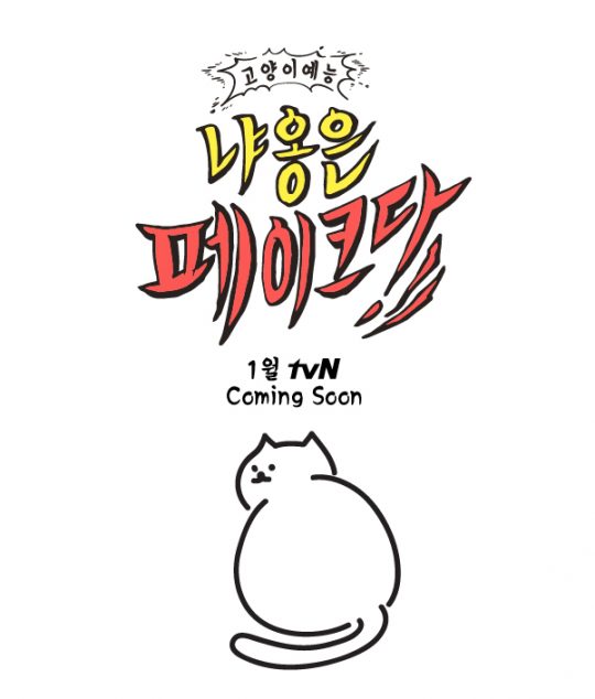 ‘냐옹은 페이크다’ 티저 이미지. /사진제공=tvN