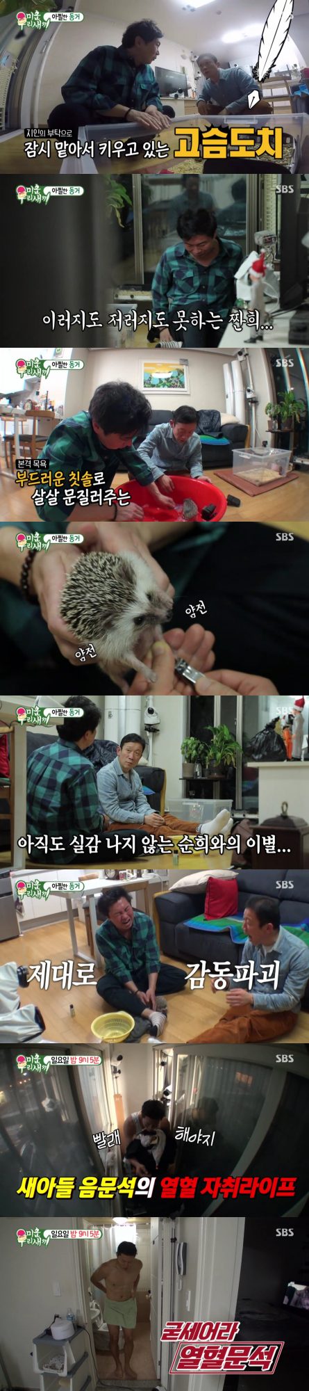사진=SBS ‘미운 우리 새끼’ 방송 캡처