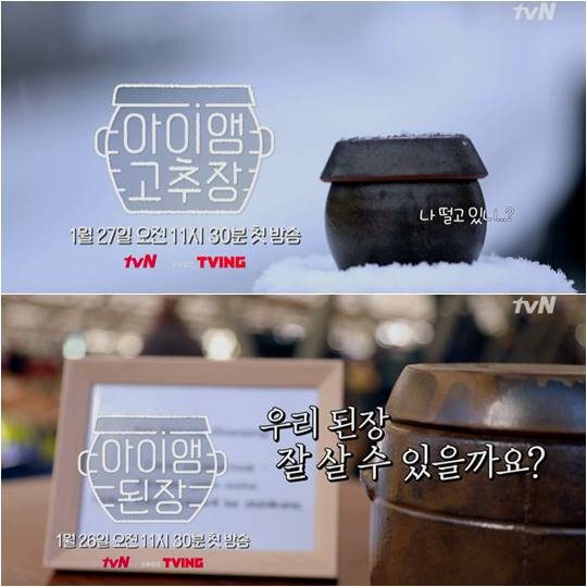tvN 예능 ‘아이앰 고추장'(위), ‘아이앰 된장’./ 사진제공=tvN