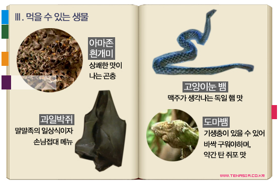 &lt;정글의 법칙&gt;│당신의 생사를 결정지을 정글 생물도감