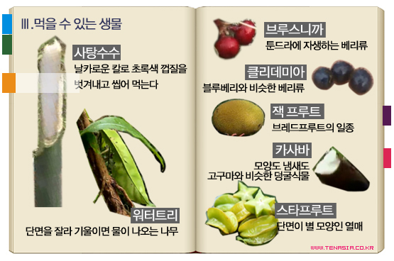 &lt;정글의 법칙&gt;│당신의 생사를 결정지을 정글 생물도감
