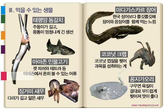 &lt;정글의 법칙&gt;│당신의 생사를 결정지을 정글 생물도감