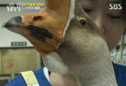 <동물농장>, 논픽션의 힘
