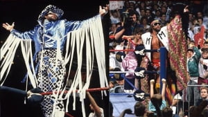 WWE 프로레슬러 '마초맨' 랜디 새비지 교통사고로 사망