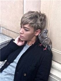 [타임라인] 빅뱅의 탑, 거미의 일본 데뷔 곡 뮤직비디오 출연