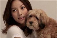 가수 이효리, 김태원, 박원순 서울시장을 포함한 33인, '2011 세상을 밝게 만든 사람들'로 선정