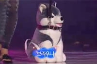 의 브라우니, 의류 브랜드 모델로 발탁