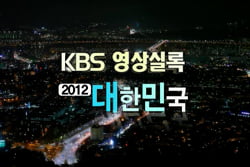 &lt;영상실록&gt;, 반쪽짜리 2012년 결산