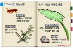 &lt;정글의 법칙&gt;│당신의 생사를 결정지을 정글 생물도감