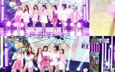 엘리스, '발랄 크러시' 터트린 '잭팟'