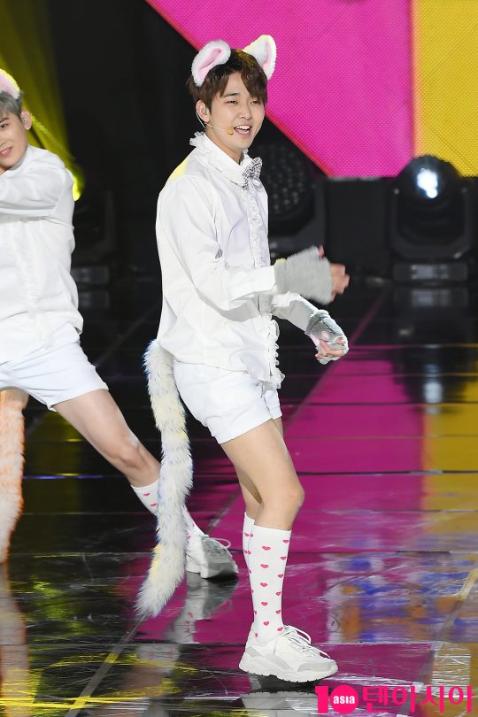 그룹 코쿤 다나카료