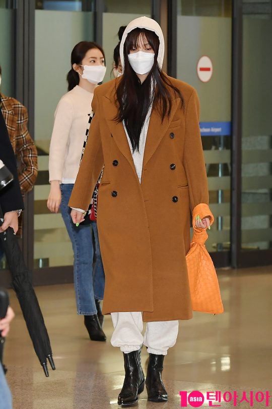 레드벨벳 조이