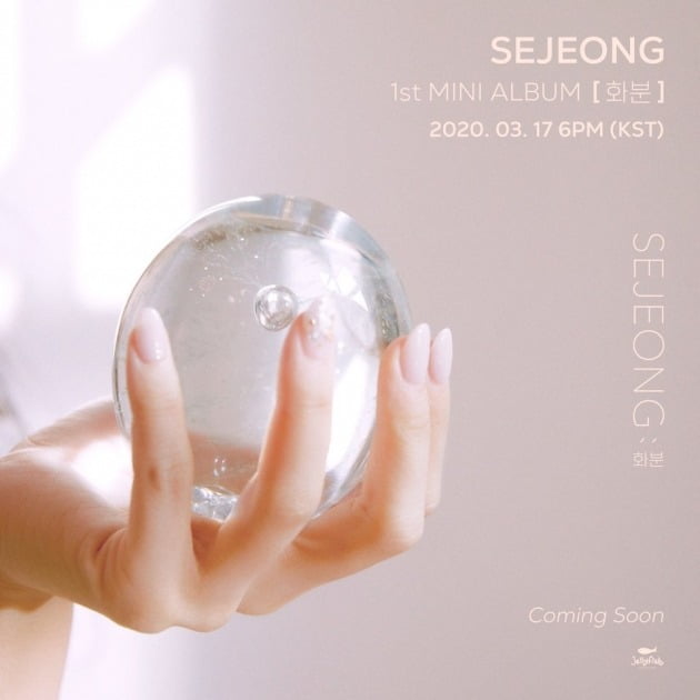 세정 '화분'./ 사진제공=젤리피쉬