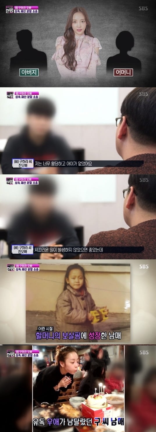 故 구하라의 오빠 인터뷰 / 사진=SBS 방송화면