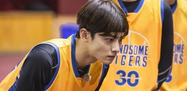 '핸섬타이거즈'의 차은우/ 사진제공=SBS