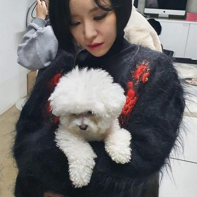 가수 가인/ 사진= 가인 인스타그램