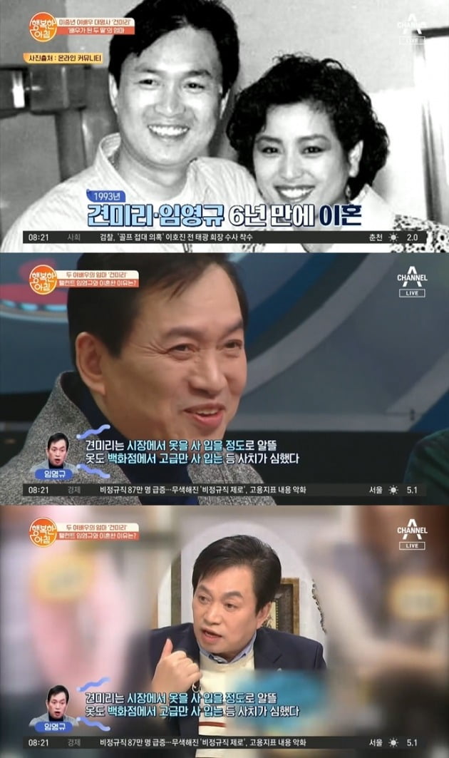1993년 이혼한 임영규-견미리. / 사진=채널A '행복한 아침' 방송 캡처