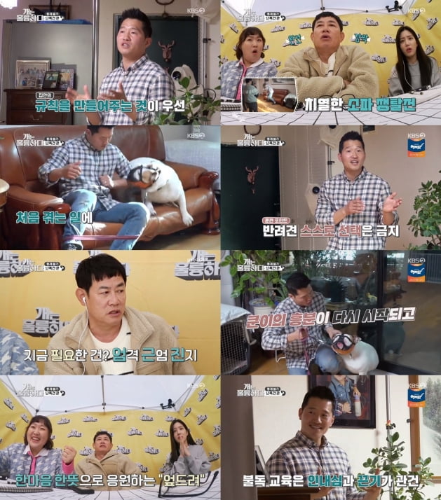 지난 23일 방송된 '개는 훌륭하다'/ 사진제공=KBS2