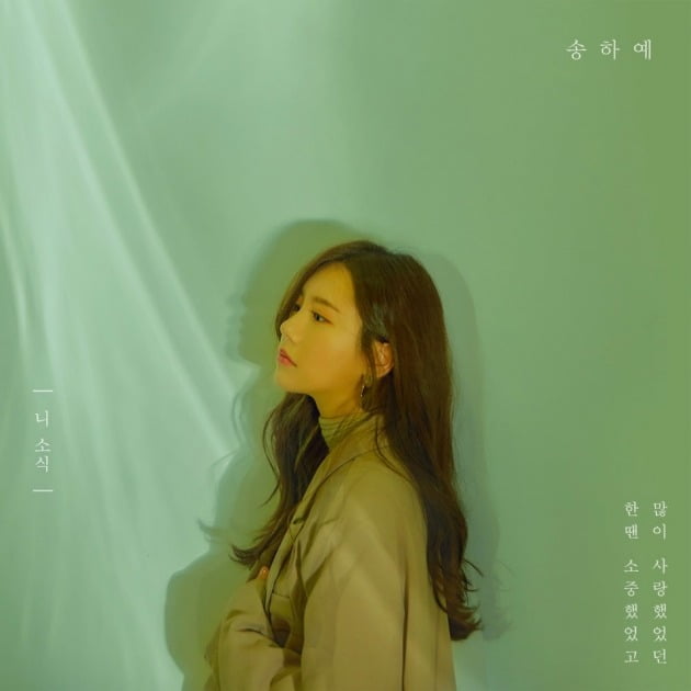 송하예 '니 소식' 커버./ 사진제공=더하기미디어