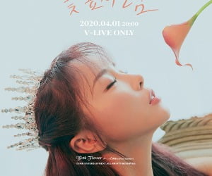 코로나19 여파에…홍진영도 컴백 쇼케이스 온라인 생중계