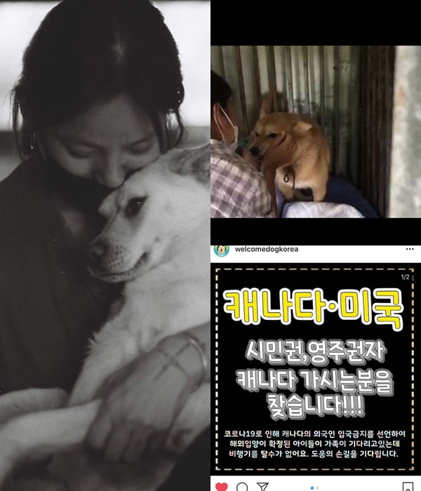 가수 이효리./ 사진=인스타그램