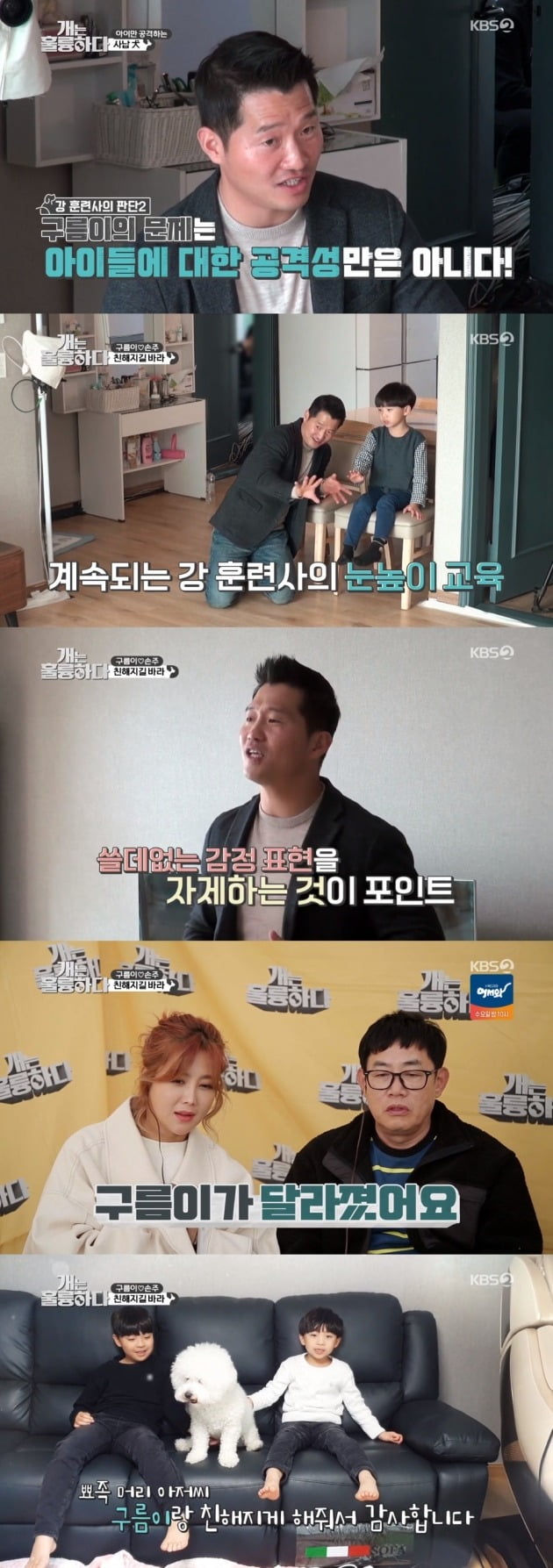 사진=KBS2 '개는 훌륭하다' 방송 화면.