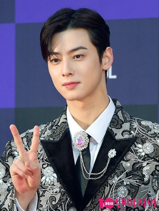 배우 겸 그룹 아스트로의 차은우 / 사진=텐아시아DB