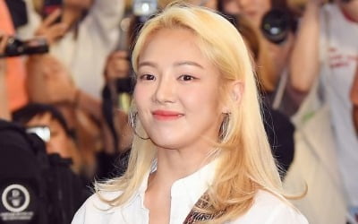 소녀시대 효연, 방송으로 집 홍보?…펜트하우스 37억에 내놨다