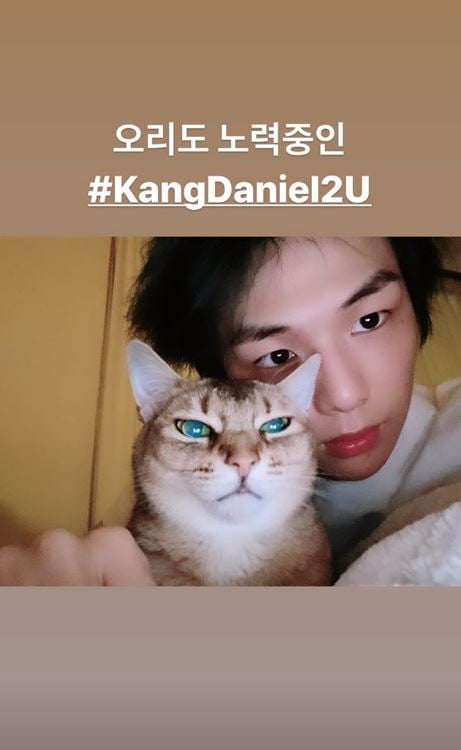 /사진=강다니엘 인스타그램