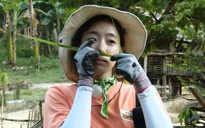 '정글의 법칙' 함은정, 생존 필수템 완비…'정글 만물상' 등극