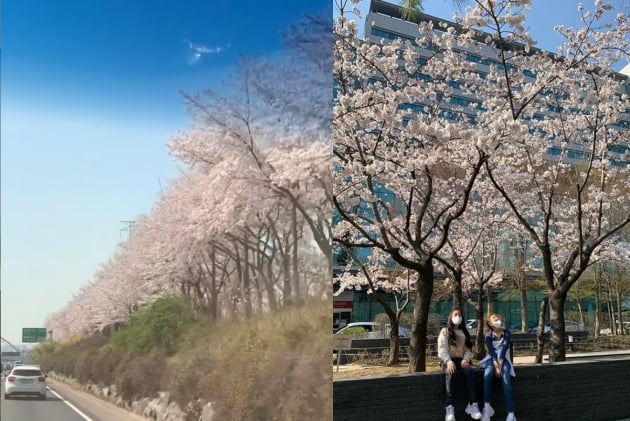 전미라 인스타그램