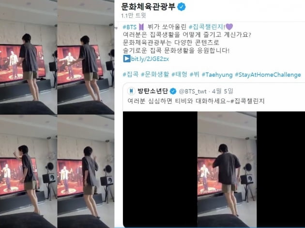 방탄소년단 뷔, 슬기로운 '집콕챌린지' 문체부도 '픽'했다