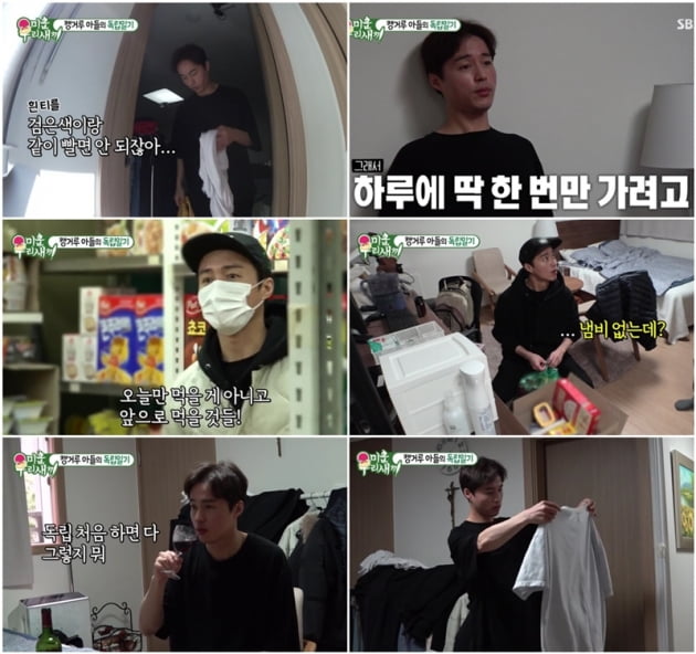 지난 12일 방송된 '미운 우리 새끼' /사진제공=SBS