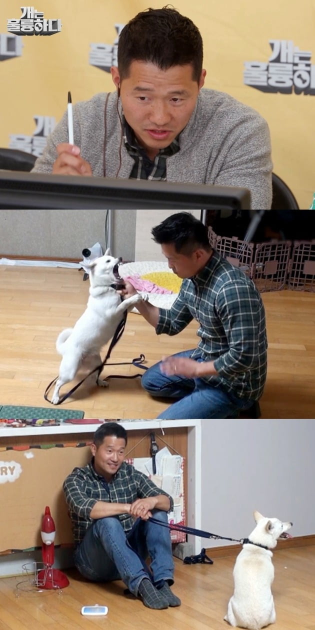 KBS 2TV '개는 훌륭하다'