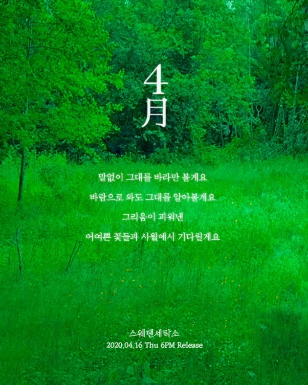 스웨덴세탁소가 새 싱글 '사월'을 발매한다. / 사진제공=쇼파르뮤직