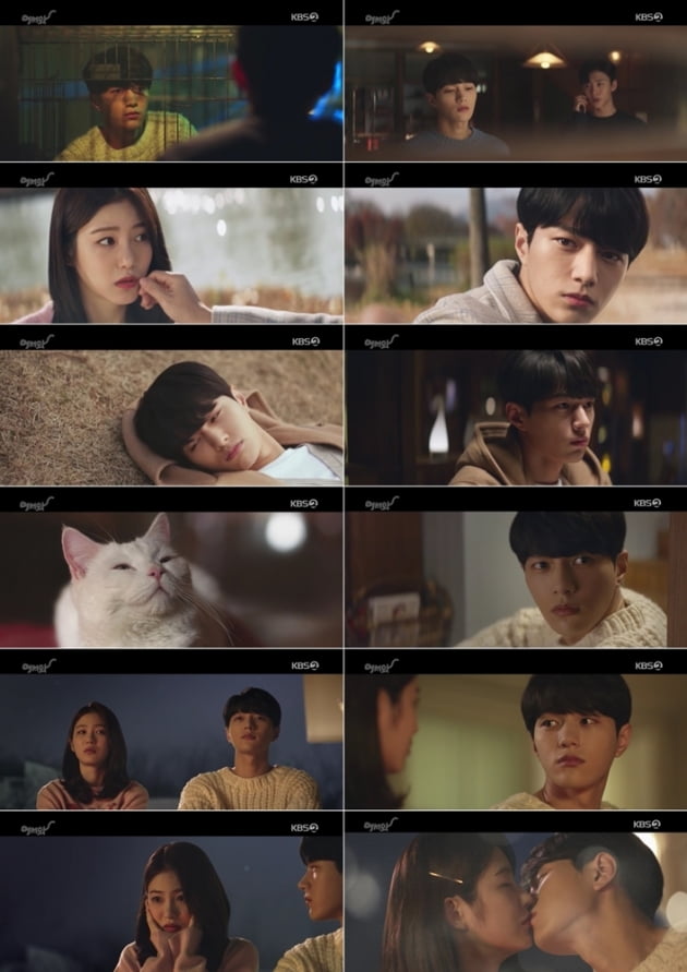 지난 15일 방송된 '어서와' / 사진제공=KBS2