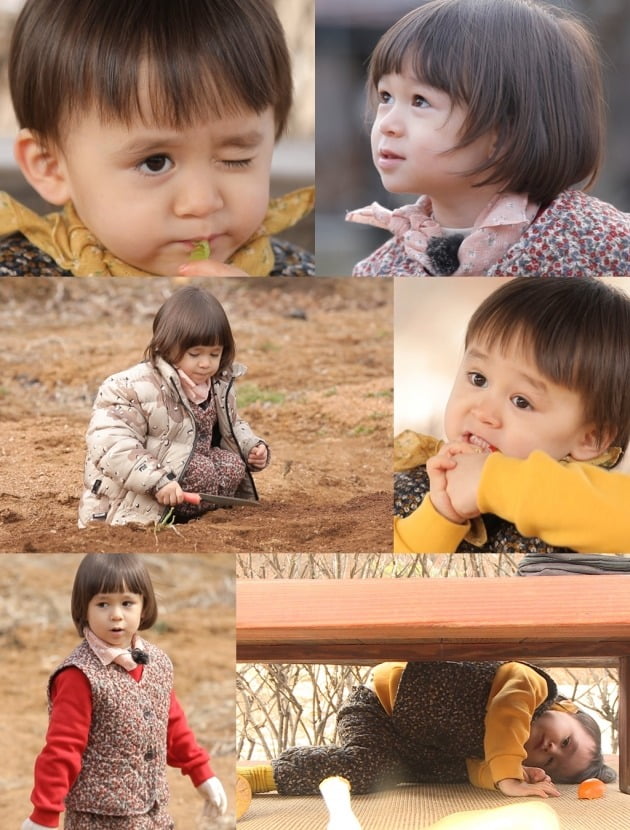 '슈퍼맨이 돌아왔다' 스틸컷./사진제공=KBS2