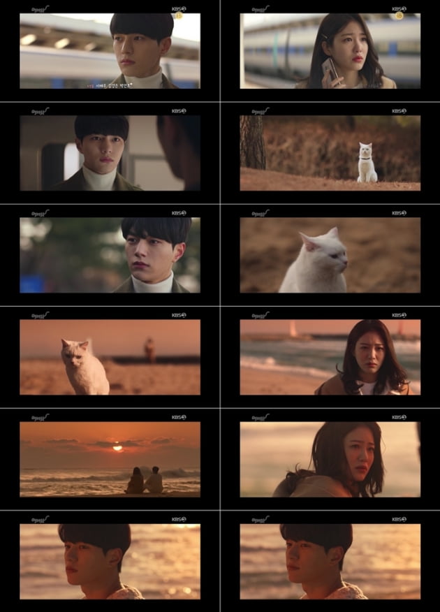 지난 22일 방송된 '어서와'/ 사진제공=KBS2