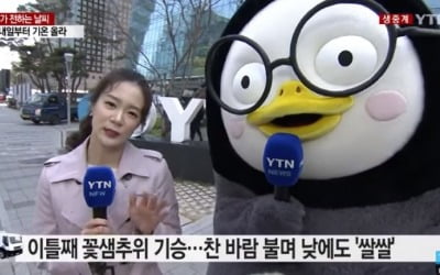 펭수, 기상캐스터로 깜짝 활약 "펭하! 일절 춥지 않아요"