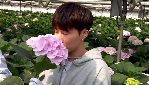 '끼리끼리' 인피니트 성규, 화훼 농가까지 녹여버린 애교